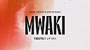 Mwaki (Tiësto's VIP Mix)