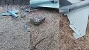 Zostrelený britský dron QinetiQ Banshee Jet 80+