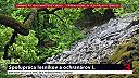 Spolupráca ochranárov a lesníkov Poľana. Časť 1