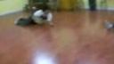 Break dance fail