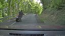 Nesmrteľný motorKár (obiehanie cez plnú do zákruty)