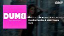 Breathe Carolina & Nikki Vianna - Dumb