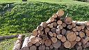 Lykožrútova kalamita Čierny Balog