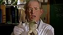 Buffy, přemožitelka upírů 1x03