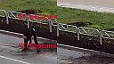 Ruský zombík si užíva opojenie z krokodíla