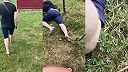 Ukradol strapec hrozna, no hneď ho dobehla KARMA (DRSNÉ)