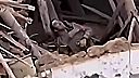 Okupant zamával na rozlúčku