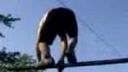 Nepodarený Back - Flip