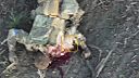 Takto drsne sú ničení ukrajinskí vojaci v Gluškovskom okrese (CITLIVÉ ZÁBERY)