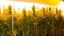 Cypress Hill ft. Kokane L.I.F.E