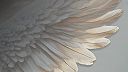 For An Angel (Kolonie Remix)
