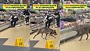 Klasika v supermarkete
