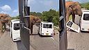 Na Srí Lance napadl slon autobus s turisty