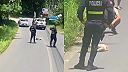 Dohled policie na silniční pořádek při přechodu Lenochoda
