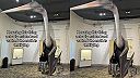 Quetzalcoatlus northropi bol najväčší lietajúci živočích, aký kedy žil na Zemi