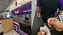Živý leguán vyskočil z balíka vo FedExe, zamestnanci v panike utekali