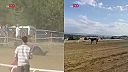 Kôň narazil do pretekárskeho konia: Oba zahynuli, jazdcovi sa nič nestalo