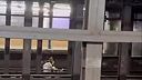 Dvaja mladí ľudia zahynuli po tom, čo sedeli na koľajniciach metra v New Yorku