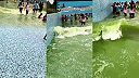 Ak chcete nejakú slušnú infekciu, navštívte tento indický akvapark
