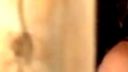Lesbian Hot Kissing Blowjob