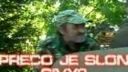 Prečo je slon sivý?