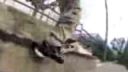 Tony Hawk vs Rodney Mullen
