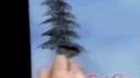 Bob Ross - Ako maľovať smrek