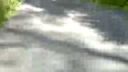 Bike downhill