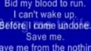 Evanescence - Bring me to life + text