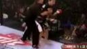 Ženy v MMA