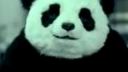Never say no to a PANDA !!!