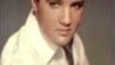 ELVIS :)) Crocodil - Joe
