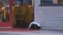 Skunk v kaviarni