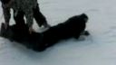 Snowboardové začiatky...:)))
