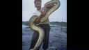 video Najväčšie hady na svete