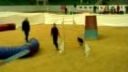 B.A.C.K. 2011