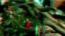 3D video.