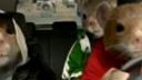 Kia SOUL (US)