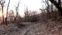 Canon EOS 7D test 2