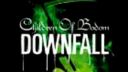 Children Of Bodom - Downfall