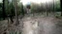 Freeride