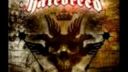 HATEBREED - NEVER LET IT DIE