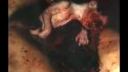 Disgorge - Scid