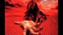 Children Of Bodom - In The Shadows