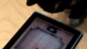 IPhone,iPad triky