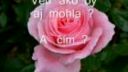 Láska ...