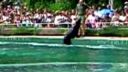 Budapeštianska ZOO 2011
