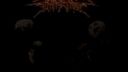 Chronic Infection - Grinding Flesh