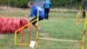 Psíci psíkom 2011 Trenčín