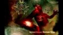 Perversus Stigmata - Perversus Stigmata